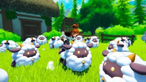 ��������³����ҷ����������ϣ���ץ�ɻ��������