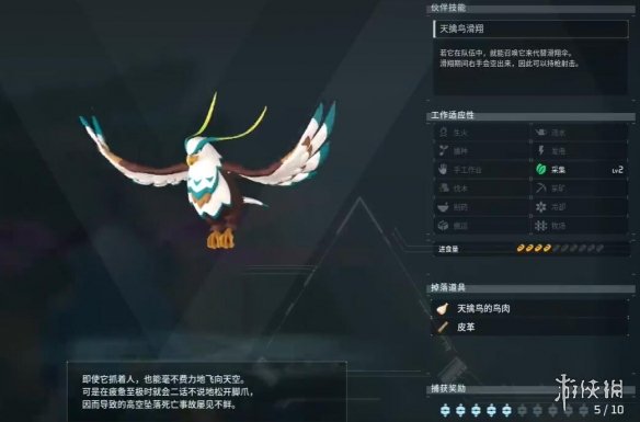 ��������³�������񲶻���