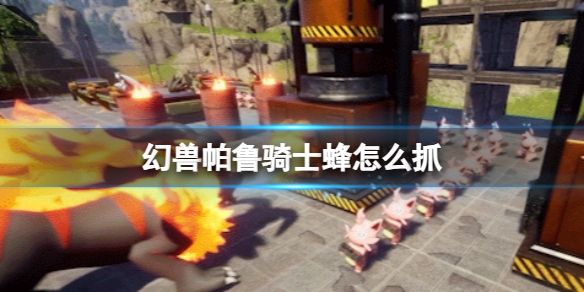 ��������³����ʿ��ץ������