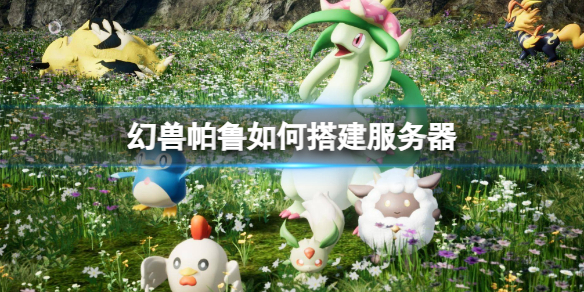 ��������³�����������������