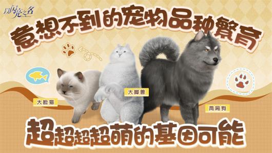 ��������֮�����±���,Ů������Ϸ�������˴�ͷ�Ժõ���!