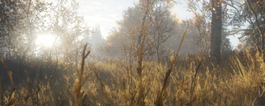 �����ˣ���Ұ�ĺ���������Լ������ʲô�ص�