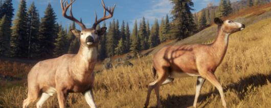 �����ˣ���Ұ�ĺ���������嶯����ʲô�ص�