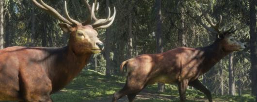 �����ˣ���Ұ�ĺ������ڶ����Ӷ�����ʲô�ص�