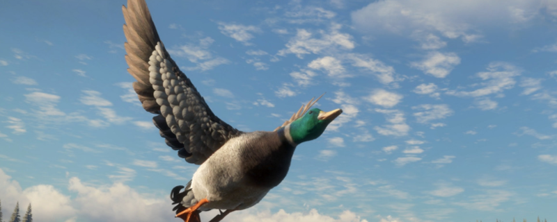 �����ˣ���Ұ�ĺ�������亣��������ʲô�ص�