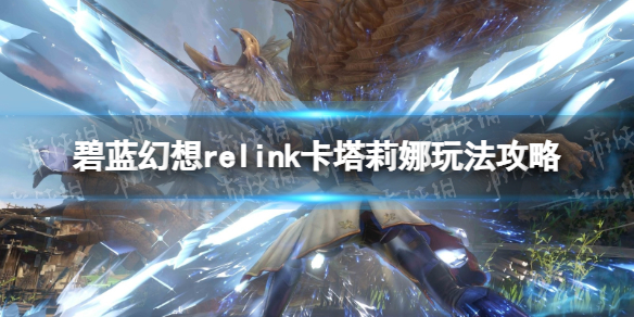 Relink淨