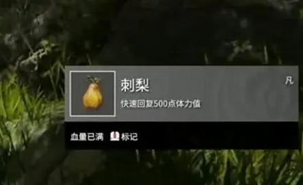 ޼䡷ѩɳ߷λý