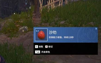 ޼䡷ѩɳ߷λý