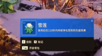 ޼䡷ѩ