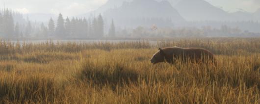 �����ˣ���Ұ�ĺ��������ٺ������ж���ֲ�������