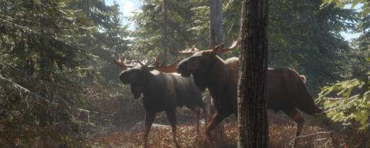 �����ˣ���Ұ�ĺ�����÷��Τ̩�����ж���ֲ�������