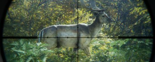 �����ˣ���Ұ�ĺ�������ϣ�Ѷ������ж���ֲ�������