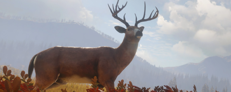 �����ˣ���Ұ�ĺ���������ͼ�ﺣ�����ж���ֲ�������