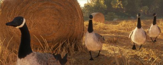 �����ˣ���Ұ�ĺ���������Լ�������ж���ֲ�������