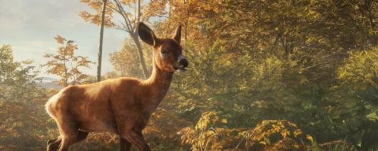 �����ˣ���Ұ�ĺ������ٰ����������ж���ֲ�������