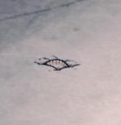 �����ĺ��ѡ��������ý���