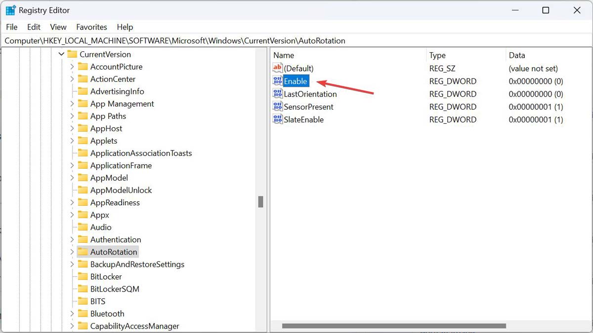 win11人像照片变横向怎么办? win11把人像横版照片变成竖版显示的技巧 win11人像照片变横向怎么办? win11把人像横版照片变成竖版显示的技巧