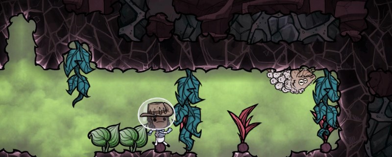 ��ȱ������Դ��Ȫ��ʲô��