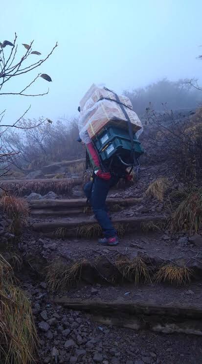 �ձ�����ֵ�ְҵ������ ��ң���������ǳ��ԭ�ͣ�