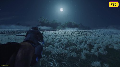 ��������֮�꡷PC/PS5�滭��Աȣ���Ӱ�䶯��ǿ��Χ