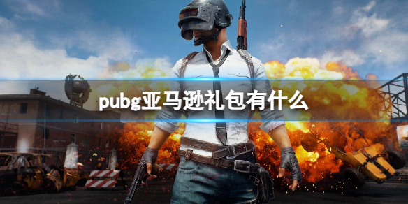 pubgѷ