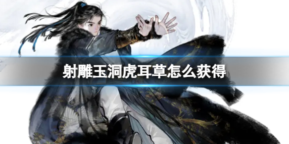 ������񶴻����ݻ�÷���