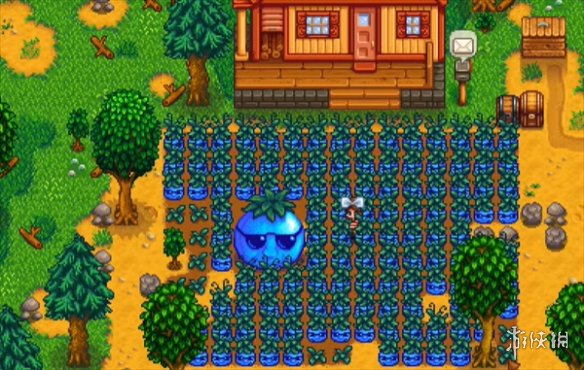 《星露谷物语》1.6巨大作物特点 《星露谷物语》1.6巨大作物特点