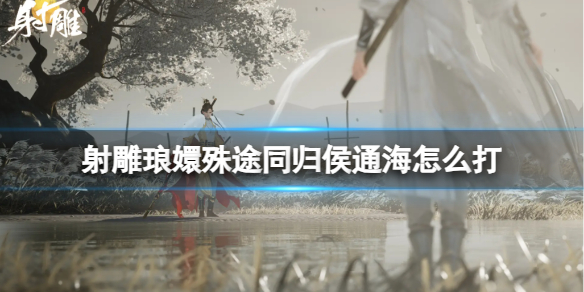 ������ŋ���;ͬ���ͨ���淨����