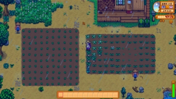 ����¶������������´����