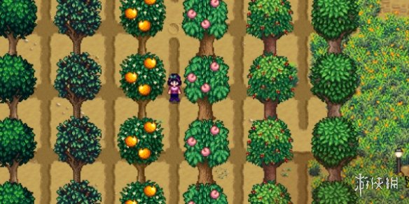 ����¶�������mod����