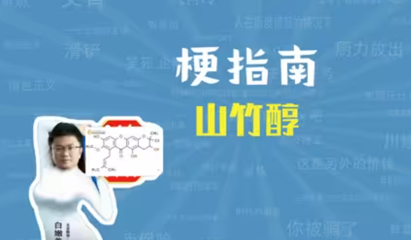 ɽ����ʲô��