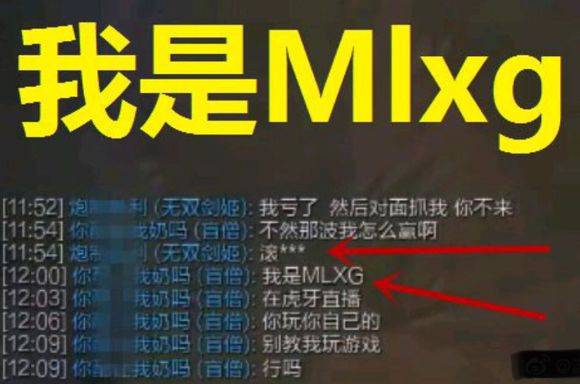 ����Mlxg��ʲô��