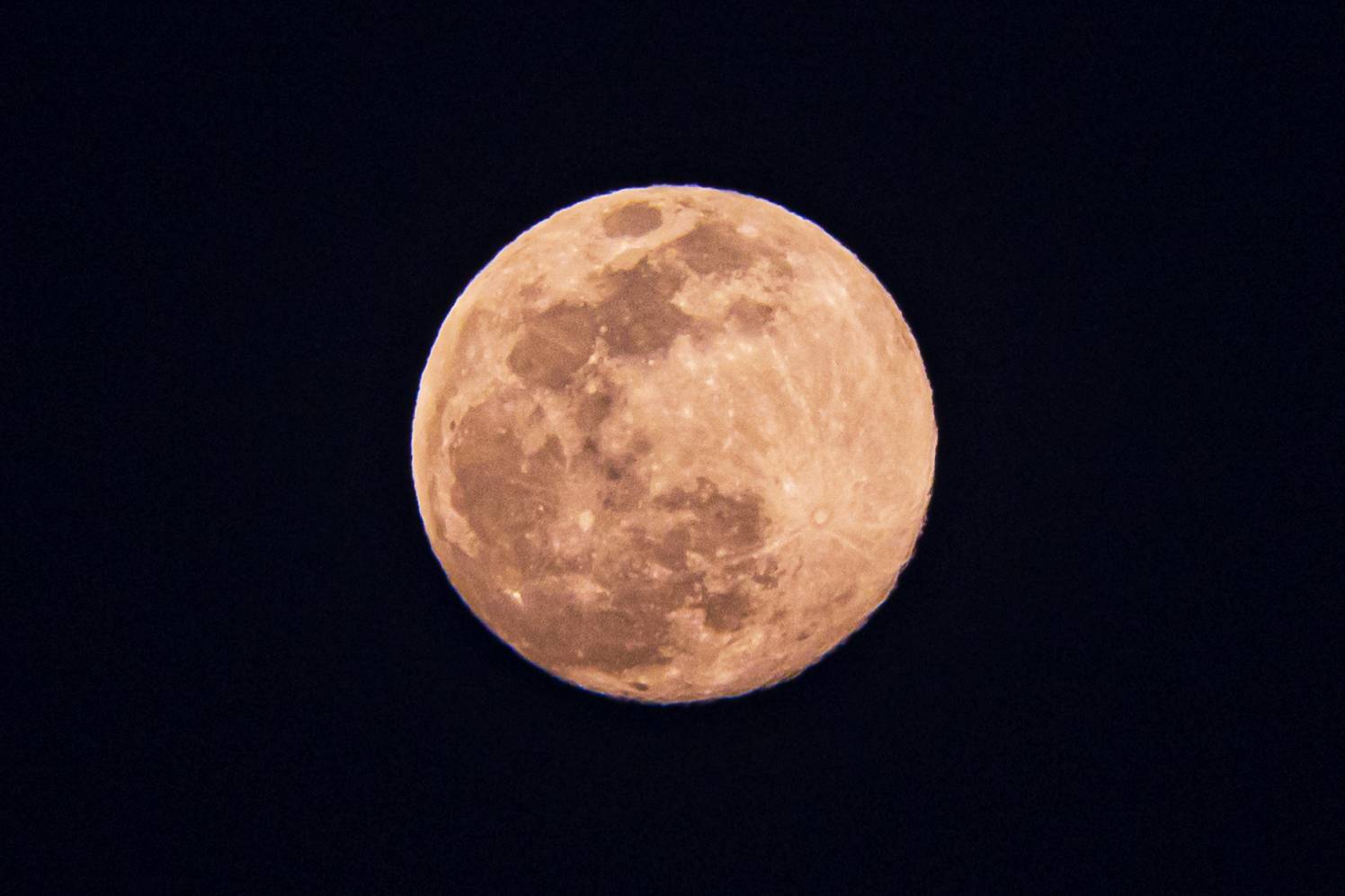 ����������ʲô��