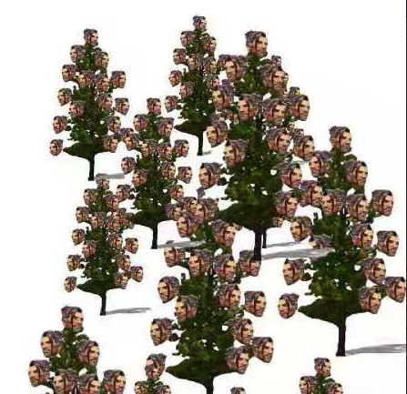 ���ɭ����ʲô��