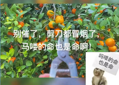 ��ඵ���Ҳ������ʲô��