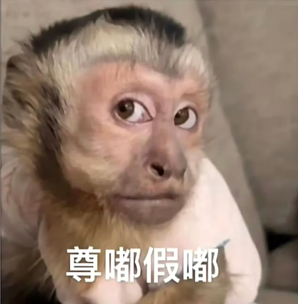 ��ོ����ʲô��