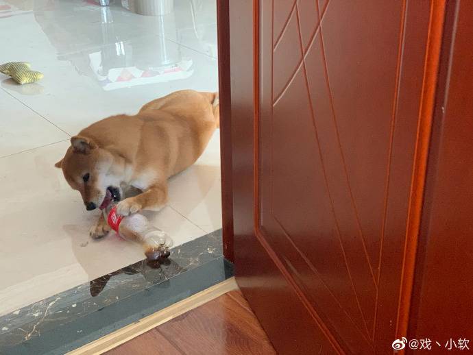 nt������ʲô��