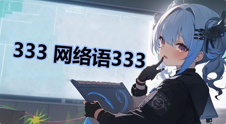 333 ������333��ʲô��