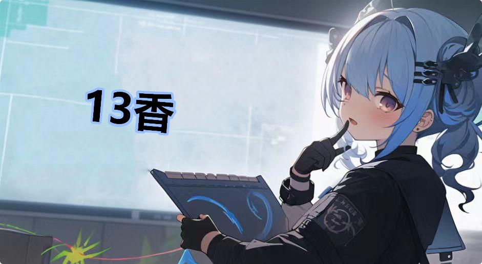 13ʲô