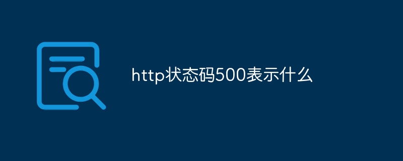 http 500