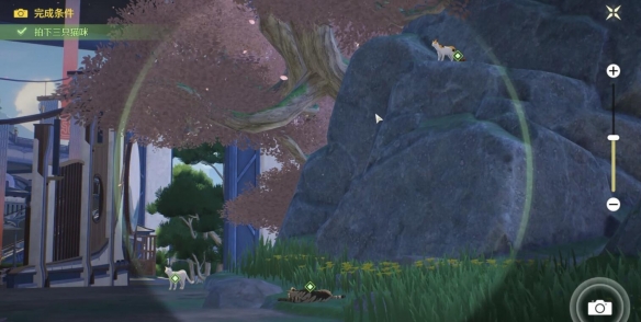 ����������������������չ���