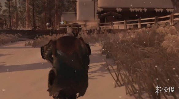 ��������֮�꡷����ѩ��֧��������