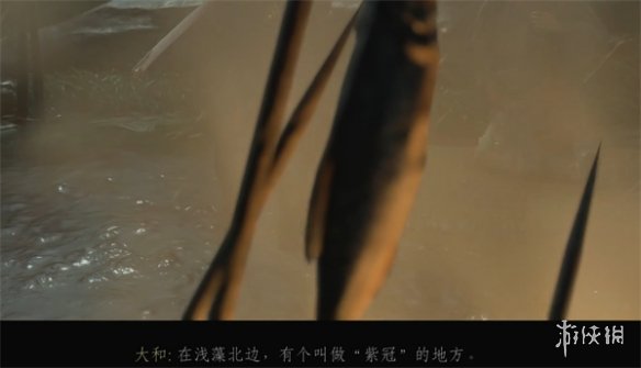 ��������֮�꡷�����Ĵ�˵������