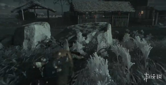 ��������֮�꡷�޹�����֧��������