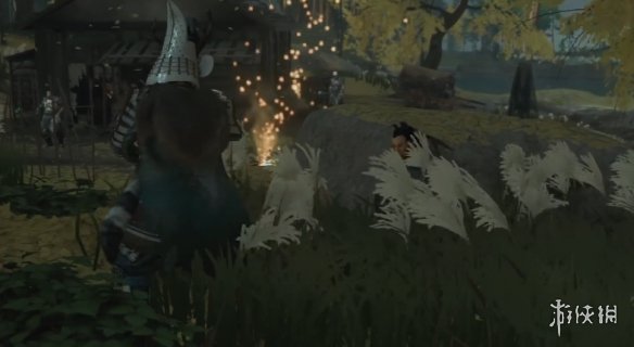 ��������֮�꡷��԰����֧��������