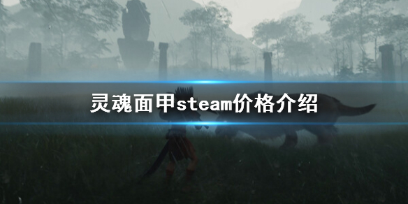 סsteam۸