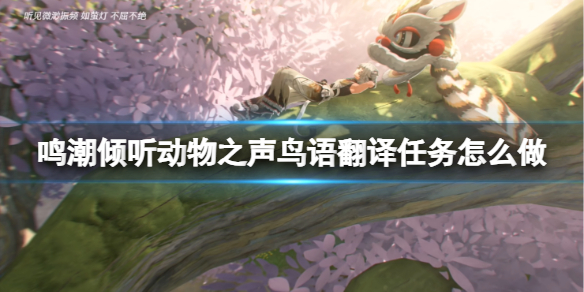 �����������﷭��������