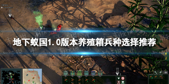 �������Ϲ���1.0�汾��ֳ�����ѡ���Ƽ�