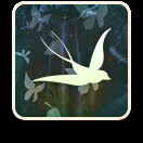 《恋爱单选题》全成就一览 《恋爱单选题》全成就一览