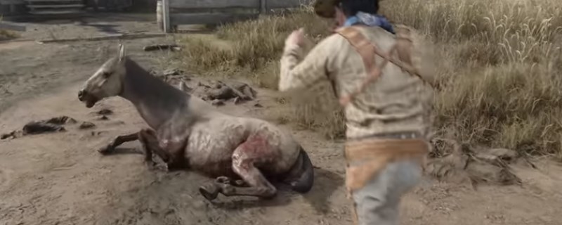 ����ɱ���Ծ�����ķ�ӵ�ʹ�÷���